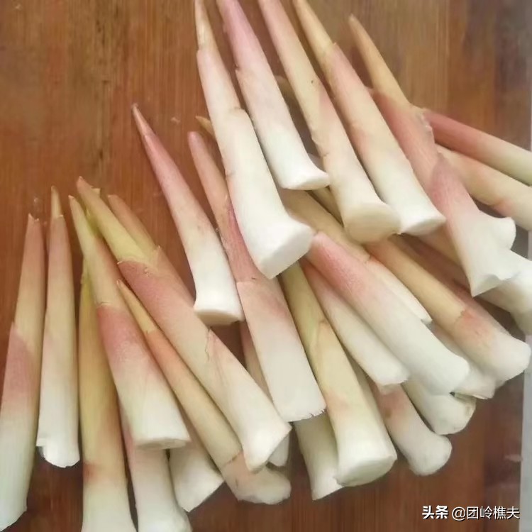 创业项目小项目,创业实用小项目