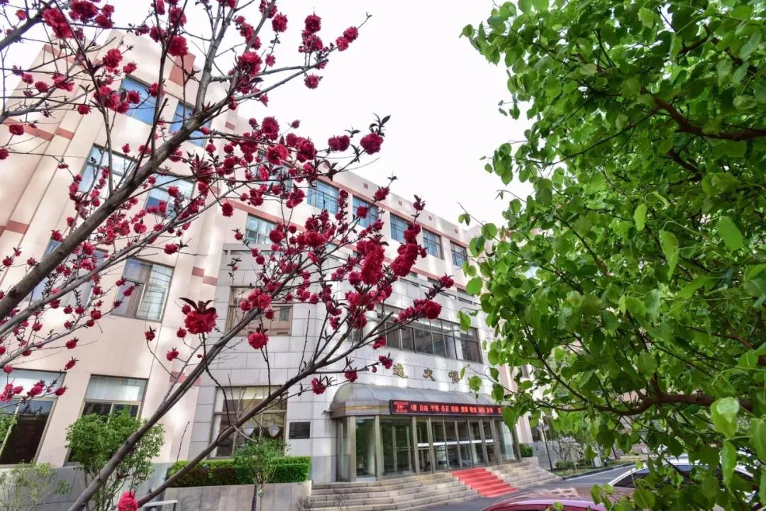 天津市普通高等院校,天津师范高等专科学校