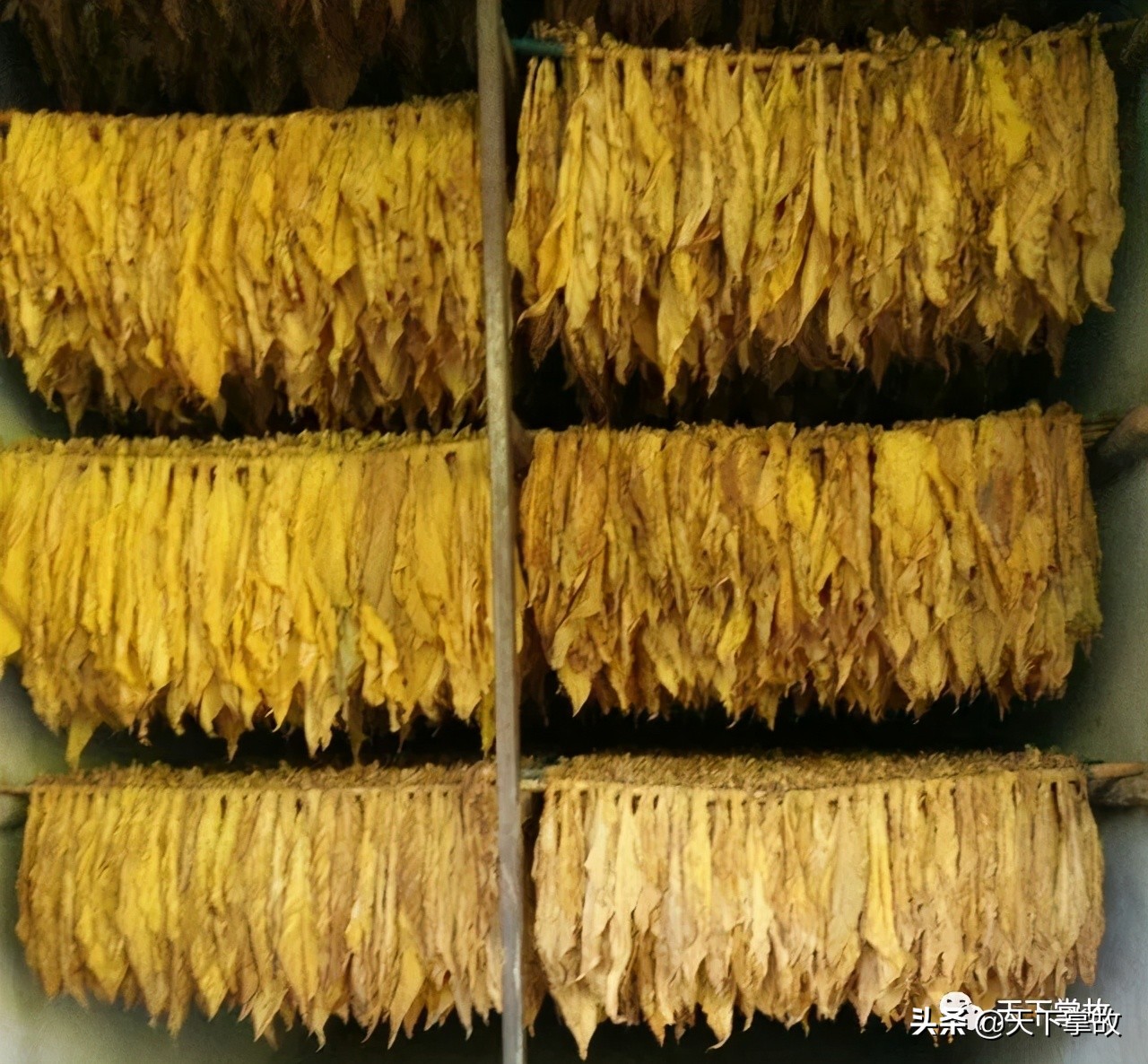 璧ゅ嘲璁板繂鍥剧墖,璧ゅ嘲璁板繂鐩綍