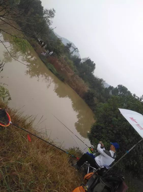 本汀神鹤和太极宗师,本汀神鹤鲫鱼竿