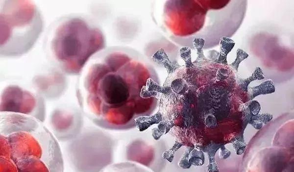 关于外阴炎上的几点误区介绍,阴道炎的症状速记