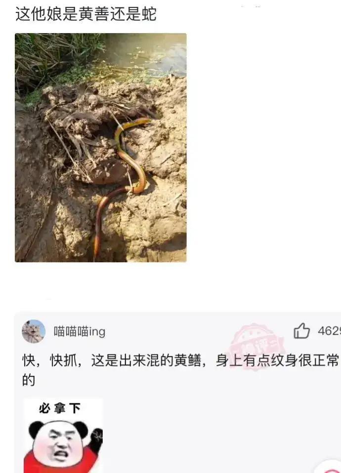 女朋友带我去见她父母和亲戚,女朋友带我去见她家长辈