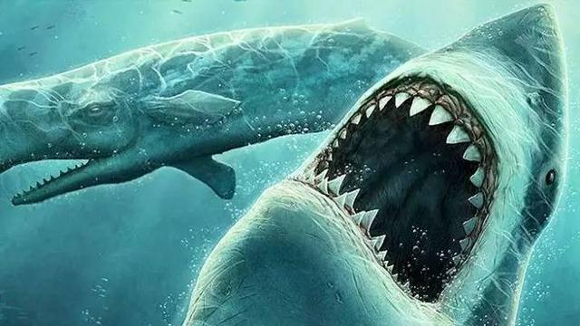 史前巨兽巨齿鲨到底有多厉害,史前巨齿鲨为什么只吃鲸鱼