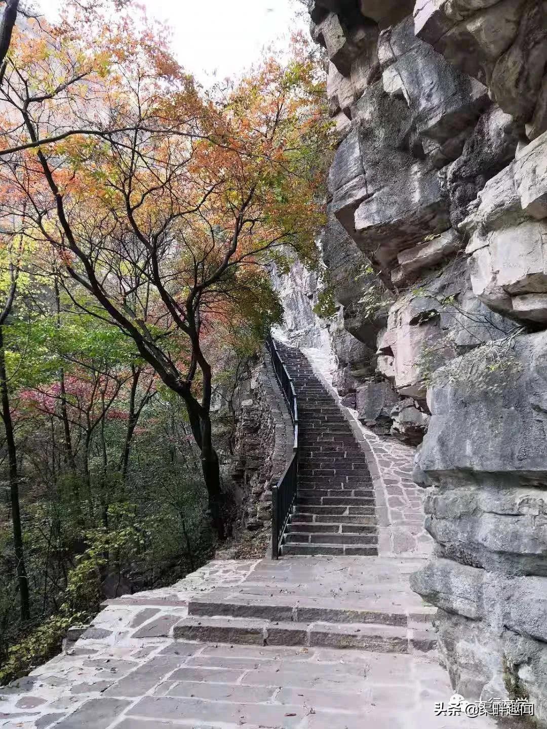 王相岩许愿,王相岩图