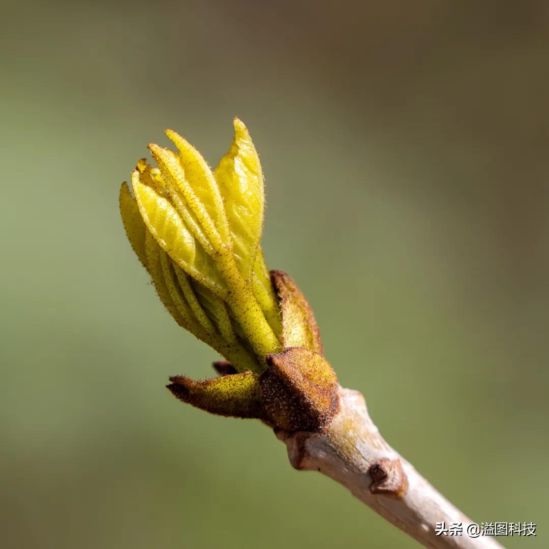 松下全幅无反,松下24-70f2.8镜头评测