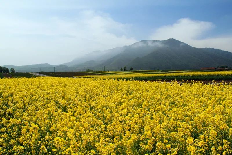 去一次大西北等于远行十次,去宁夏旅游的最佳地方