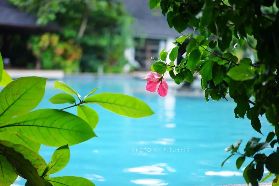 菲律宾冷门景区 (菲律宾锡基霍尔岛冲浪)