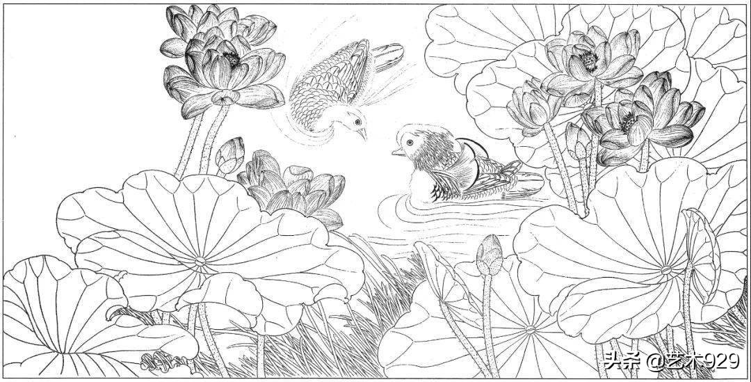 余稚荷花蜻蜓图高清白描底稿,白描荷花勾线方法讲解视频