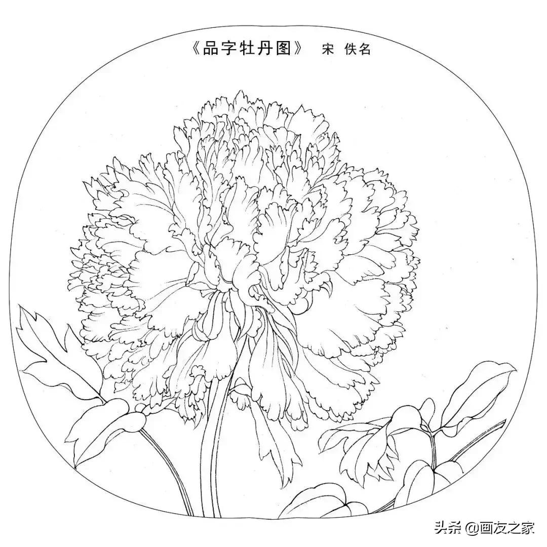 宋花鸟工笔画高清大图临摹过程,宋画工笔画花卉上色教程