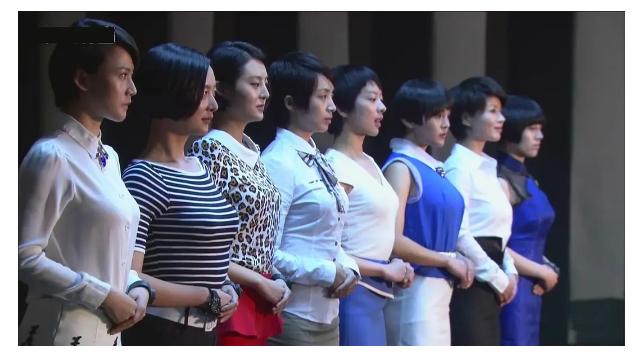 特种兵之火凤凰全体女演员名单,《特种兵之火凤凰》10位演员现状