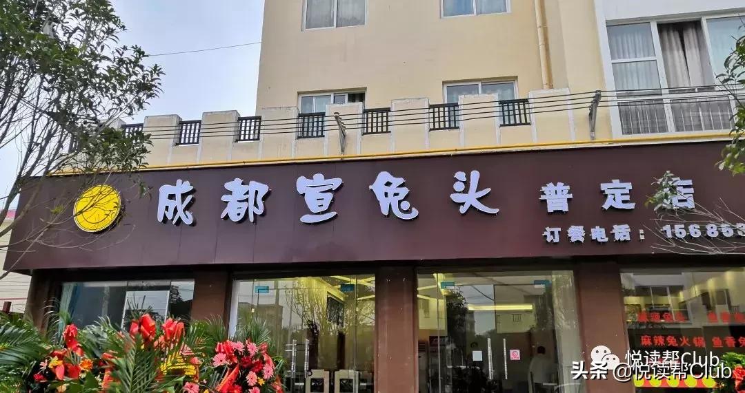 连成都人都赞不绝口的兔头空降安顺!这些兔兔还是安顺人自家养的