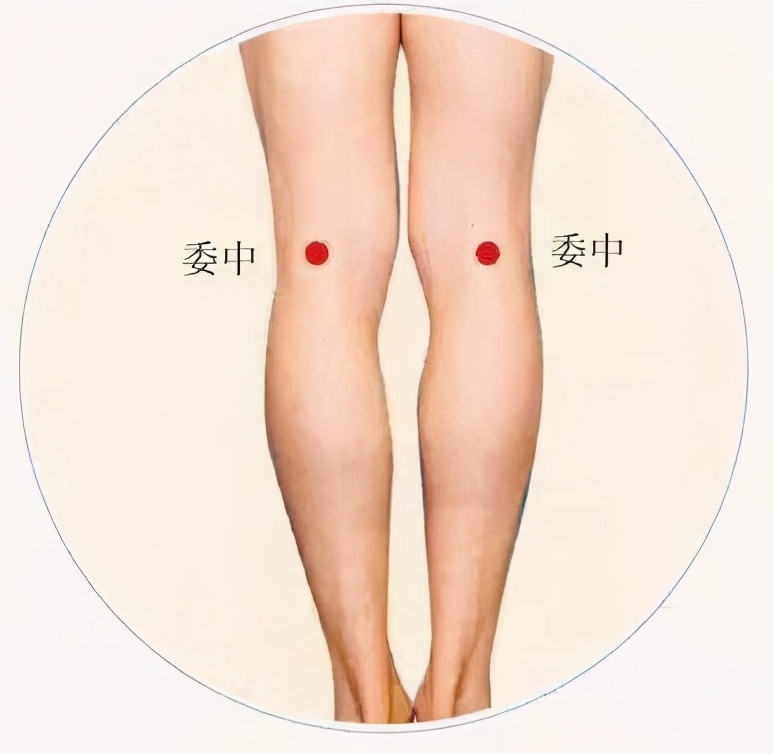 手掌健康疗法穴位图,按哪个穴位可以让脾胃健康