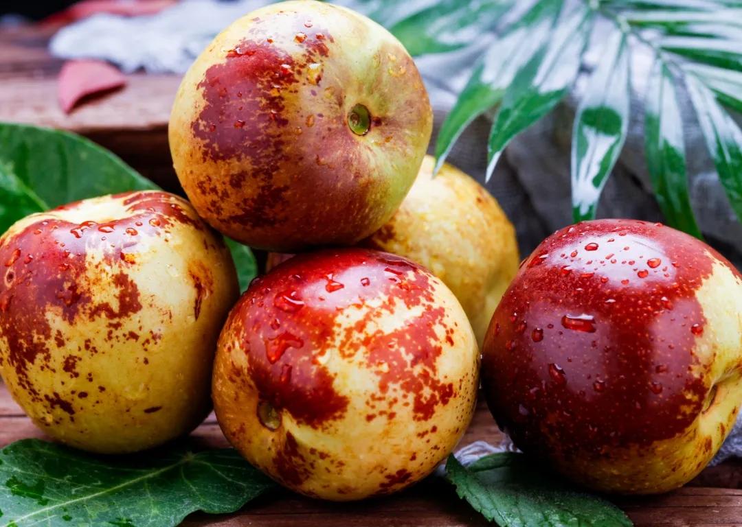 心肝宝贝奖门人:秋季最补Vc的水果,7颗就相当于1碗饭