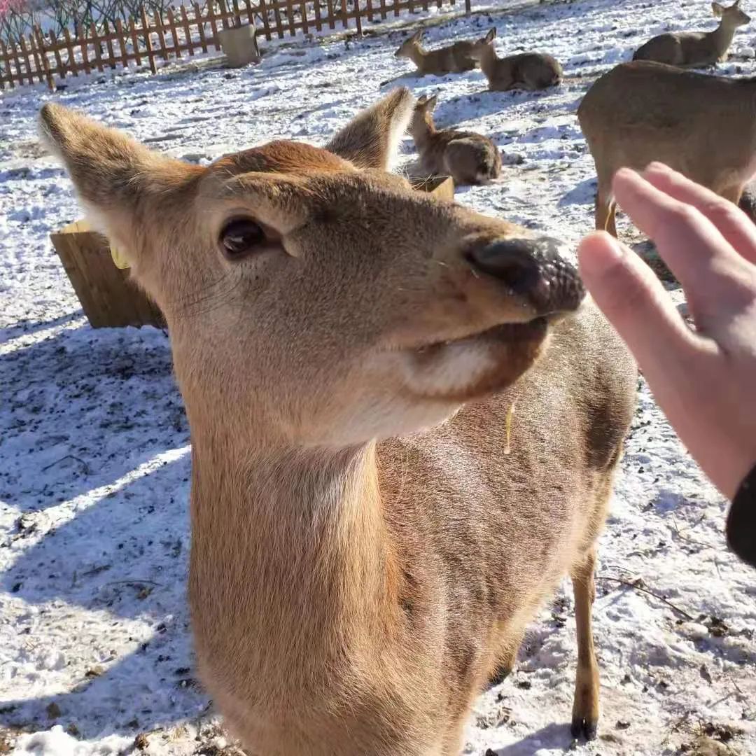 放假孩子们来家玩得好开心,放假了孩子还闹着要去幼儿园