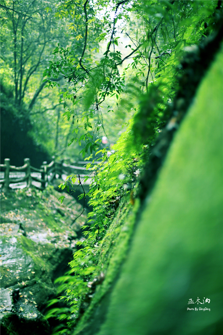 神奇的梵净山真正的天空之镜,梵净山金顶旅行真实感受