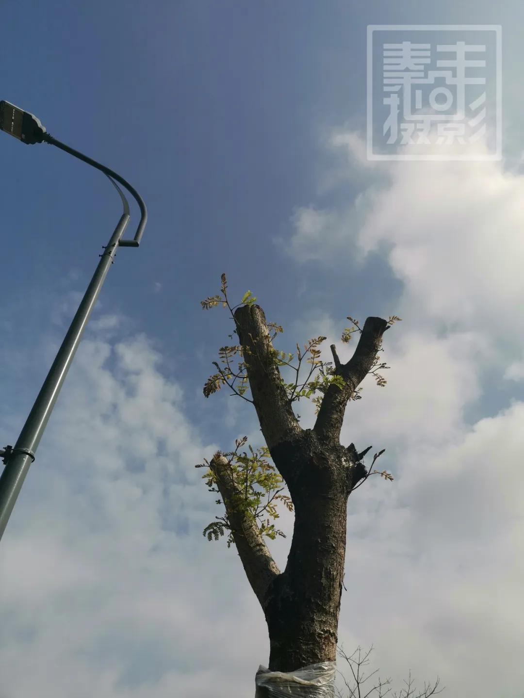 废片不要着急扔,废片要删掉吗