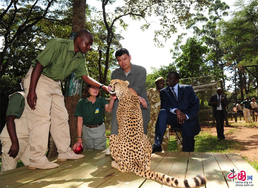 三艘航母合照高清,中国航母照片三视图