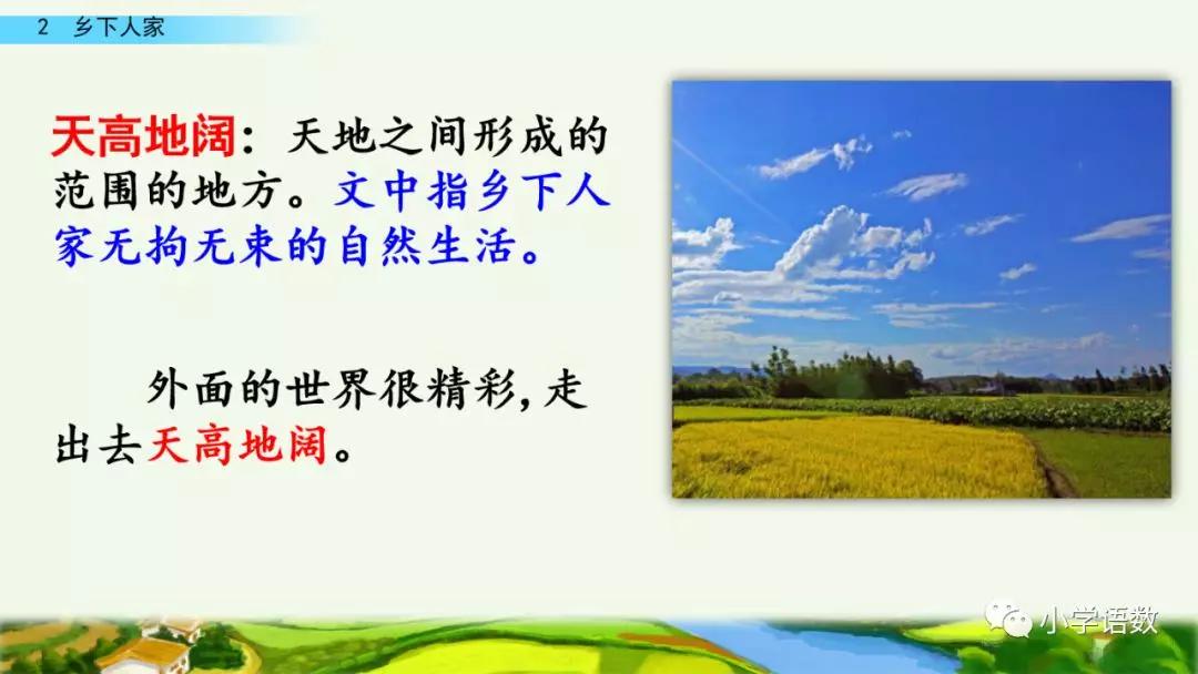 四年级下册乡下人家小练笔350字,四年级语文下册繁星精讲教学视频