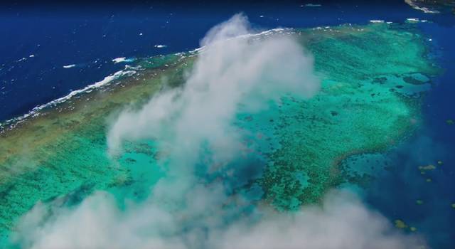 假期儿童纪录片推荐经典,青少年假期推荐纪录片