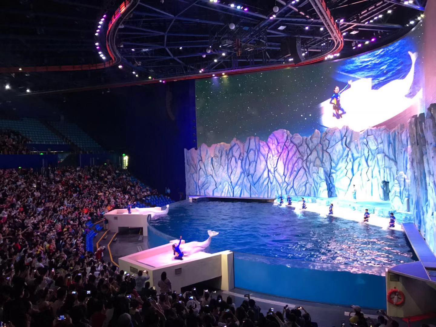 珠海长隆海洋王国亲子攻略2岁,亲子珠海长隆海洋王国一日游攻略