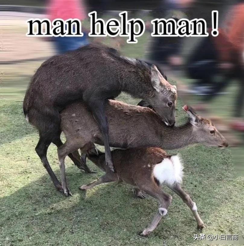 吴亦凡周玄毅二选一,你愿意听谁嘴里的鬼话?