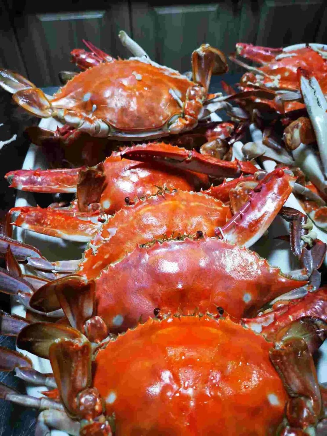 <html>
<head><title>502BadGateway</title></head>
<body>
<center><h1>502BadGateway</h1></center>
<hr><center>nginx</center>
</body>
</html>
<!--apaddingtodisableMSIEandChromefriendlyerrorpage-->
<!--apaddingtodisableMSIEandChromefriendlyerrorpage-->
<!--apaddingtodisableMSIEandChromefriendlyerrorpage-->
<!--apaddingtodisableMSIEandChromefriendlyerrorpage-->
<!--apaddingtodisableMSIEandChromefriendlyerrorpage-->
<!--apaddingtodisableMSIEandChromefriendlyerrorpage-->
