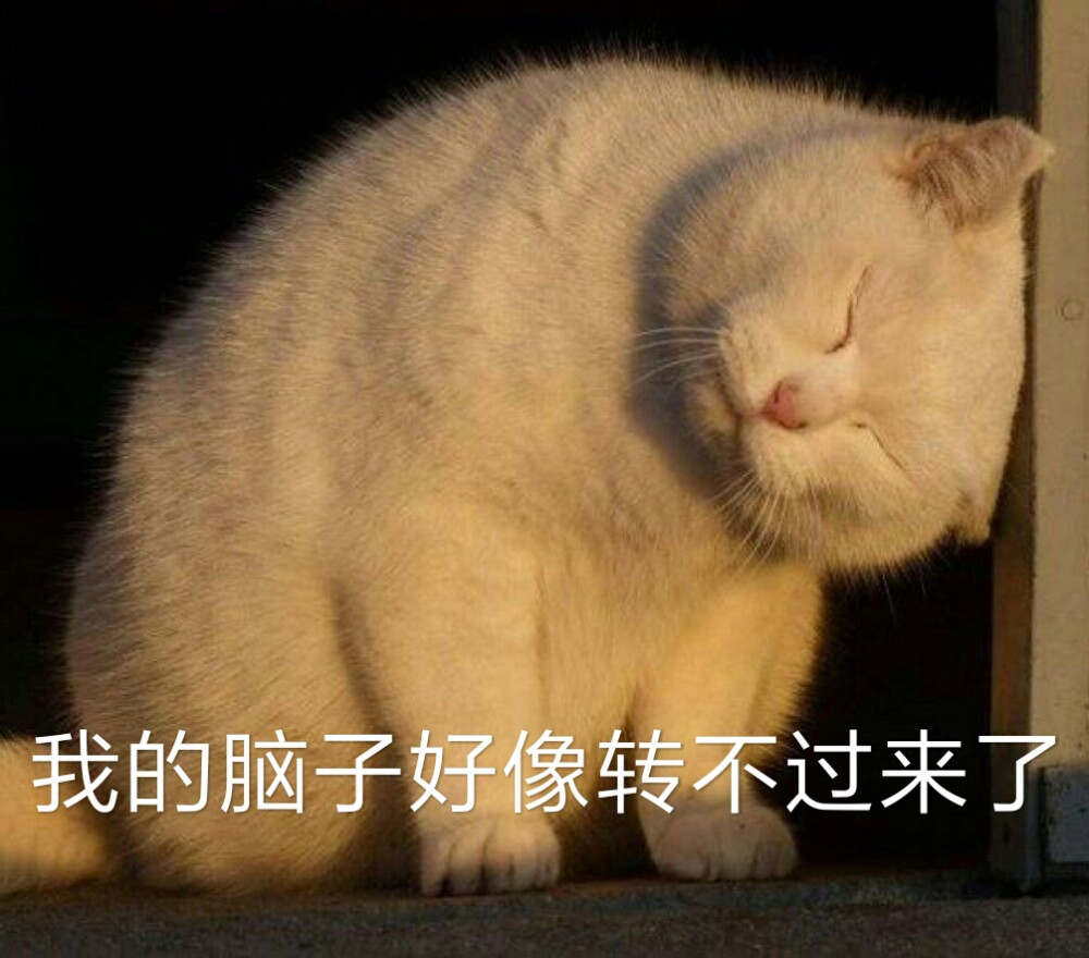 理论物理专业就业前景,物理专业真的没出路吗