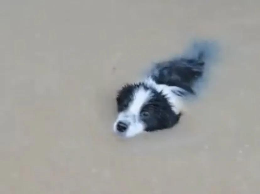 「150个西湖」倒灌郑州，“今天我不敢看河南人的朋友圈”