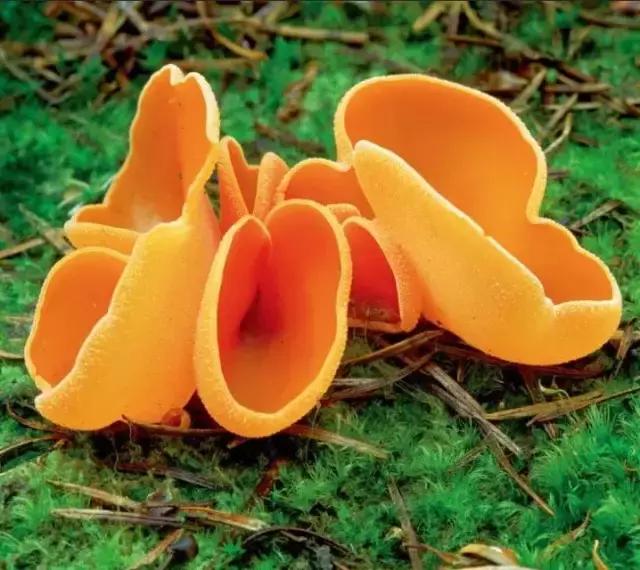 大人和孩子都不可错过的绘本,值得孩子看的4本经典绘本