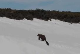 每个生命都值得被虐待,任何生命都不该被虐待
