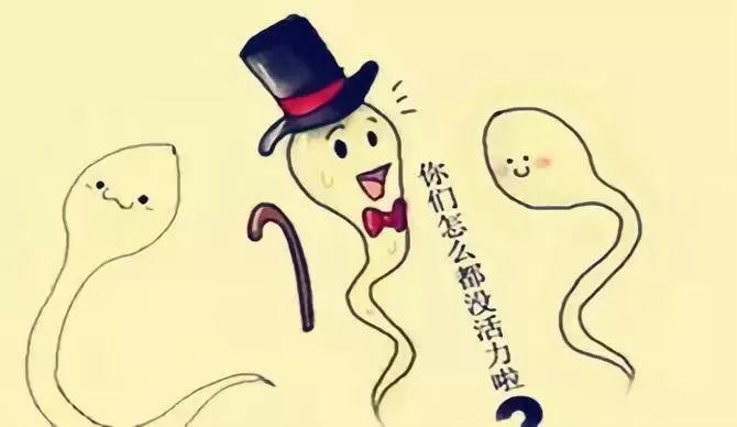 弱精少精死精戒烟三个月有改善吗,少精弱精是怎么引起的