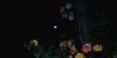 用废弃木床做书架,多功能流觞曲水桌