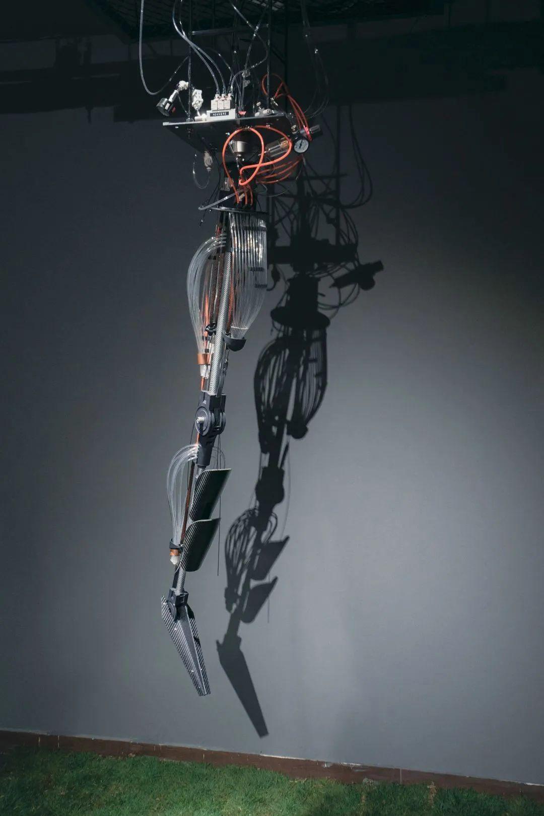 nike万代,万代南梦宫携手耐克推出联名