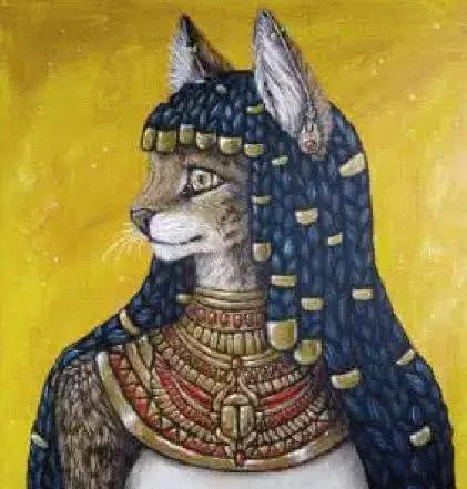 喵星人十三年养猫经验分享,撸猫进化史