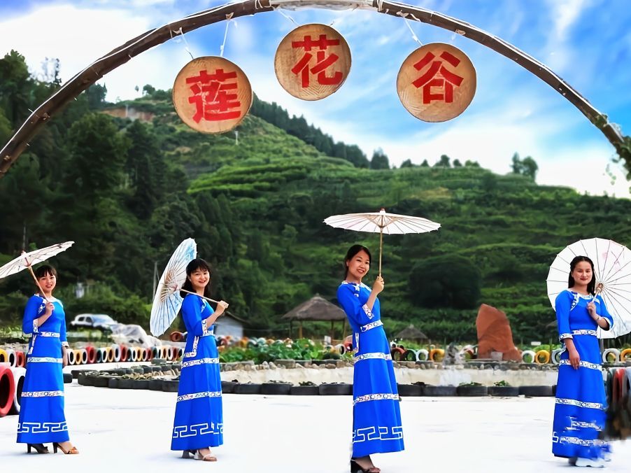 贵州铜仁阡城莲花谷农业专业合作社诚邀您加盟双惠互利共赢