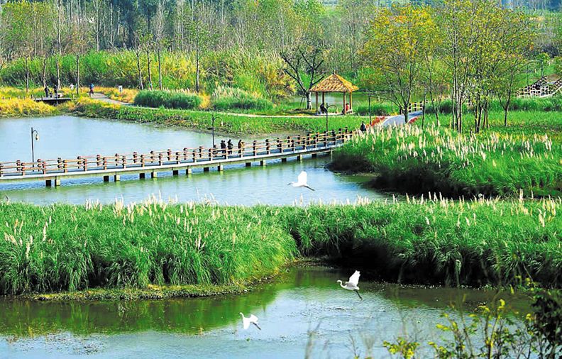 成都公园城市建设令人欣喜,成都打造世界级公园城市