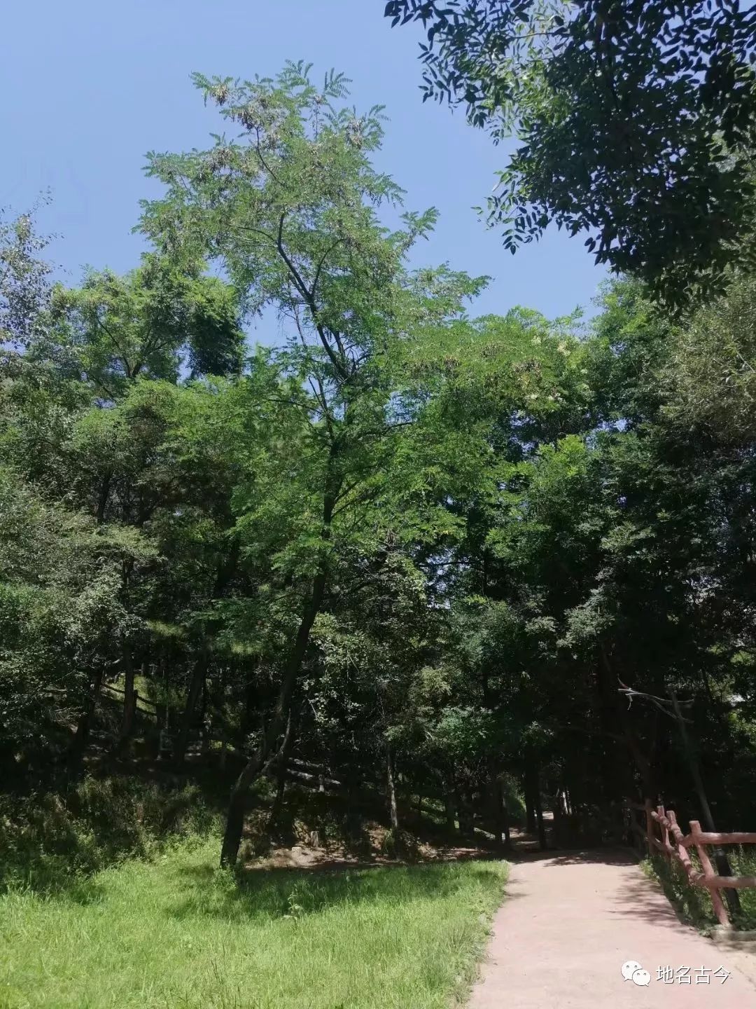 甘肃和政我为家乡代言,和政的家乡风景