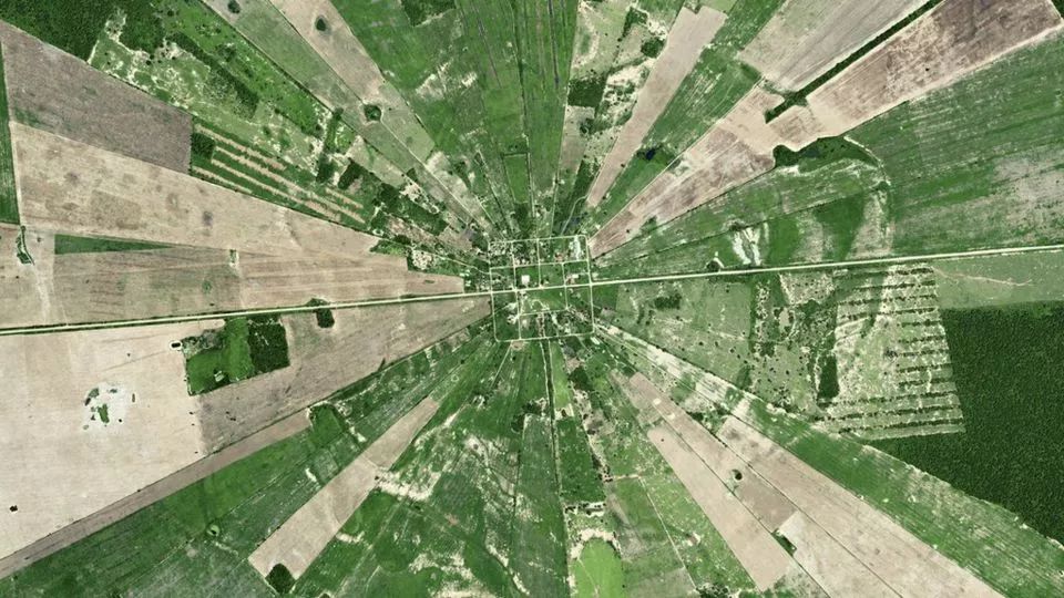 暑期必看的炸裂口碑纪录片,暑期不虚度七部神级纪录片陪你