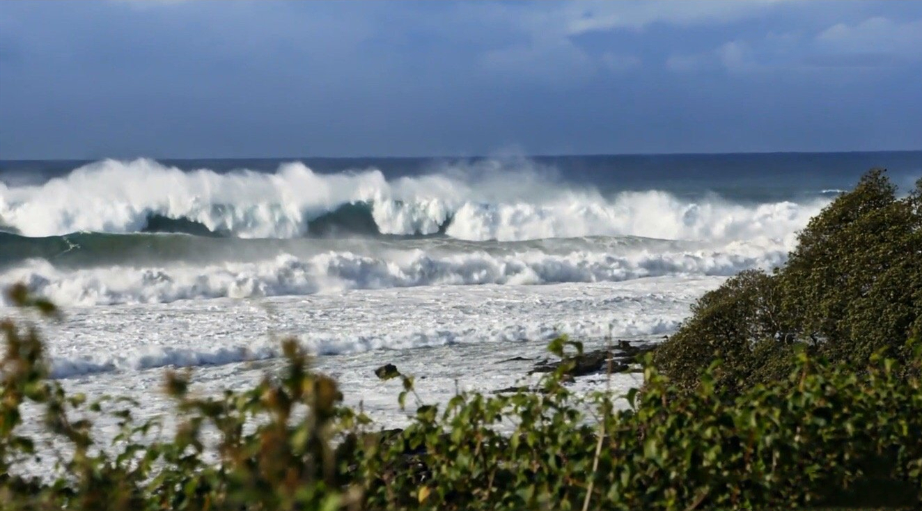 鲁滨逊漂流记荒岛生存指南,鲁滨逊漂流记惊险刺激及求生方法
