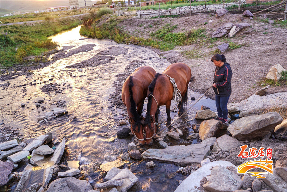 北京草原天路丰宁坝上草原,河北坝上的草原天路