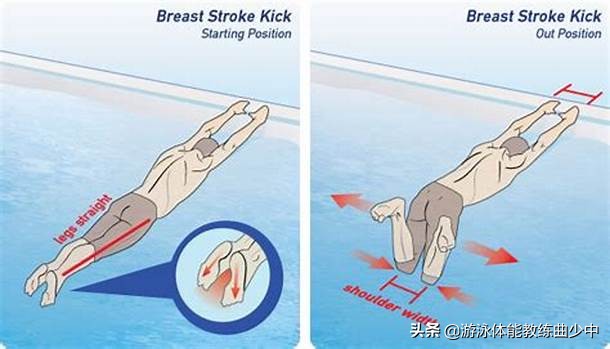 蛙泳教学全流程,蛙泳翻身蹬墙教学