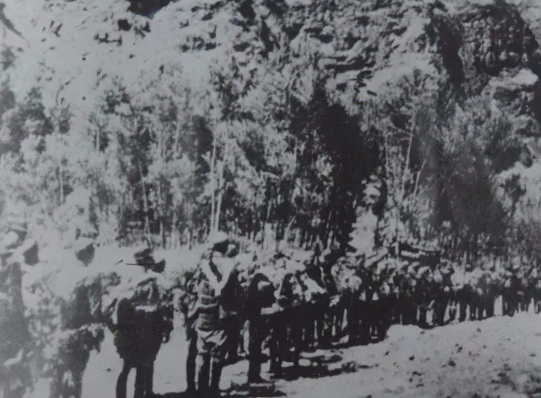 鐧惧勾椋庡崕鎰熷彈,鐧惧勾椋庡崕瑙傜湅鎰熸偀