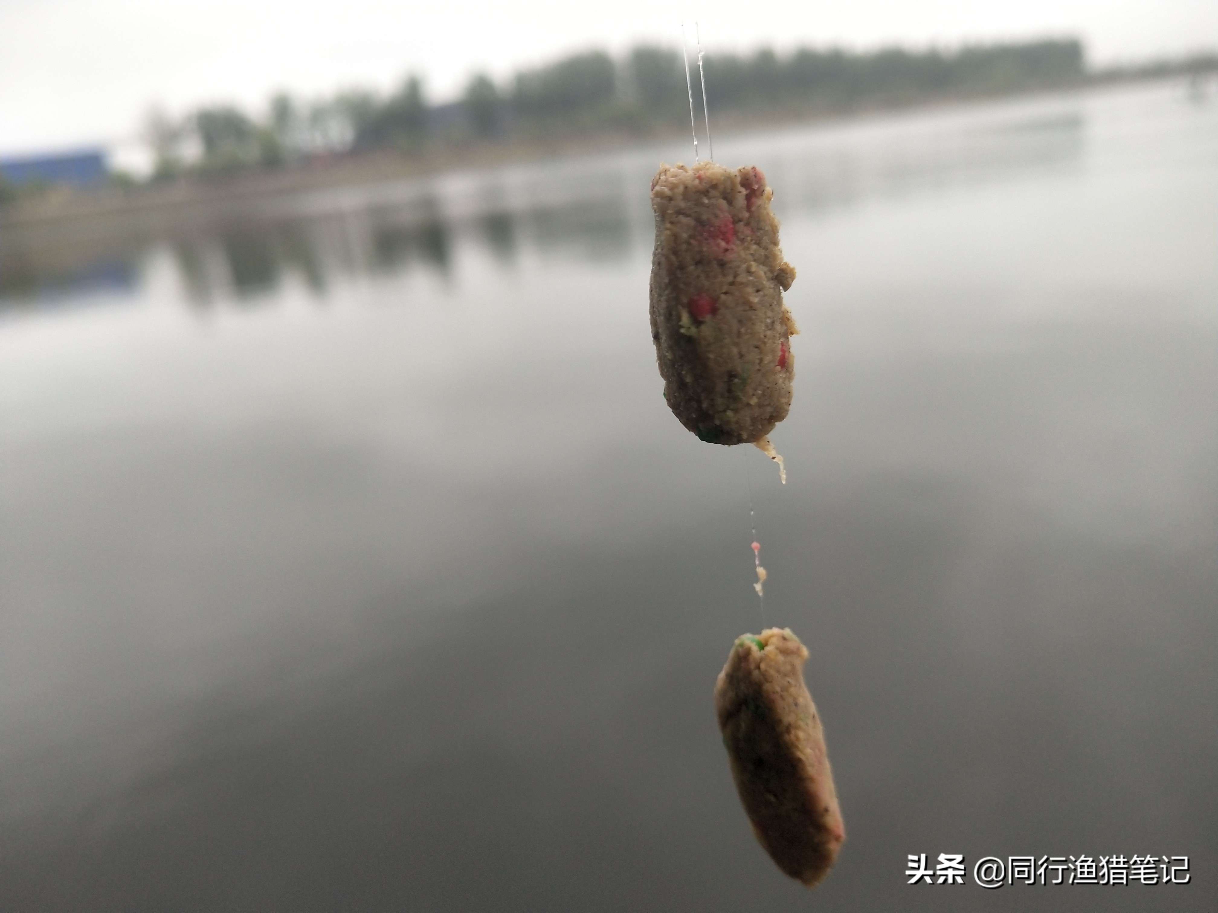 老三样拉饵怎么开又软又粘和配比,饵料怎么开得又软又粘