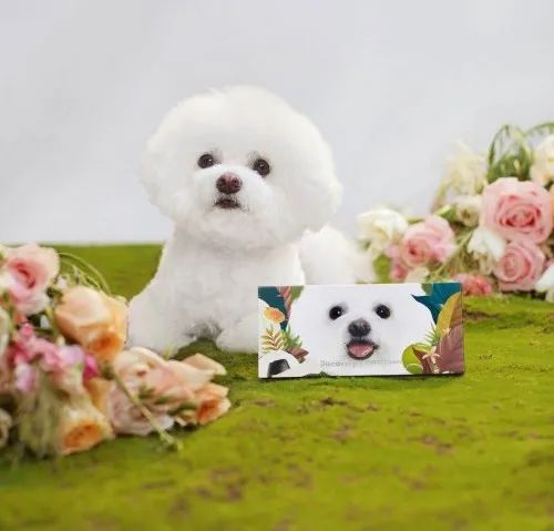 国货彩妆品牌的明星产品,最好的国货彩妆品牌有哪些