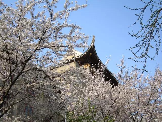 你真的了解江夏吗,简单介绍一下关于武汉