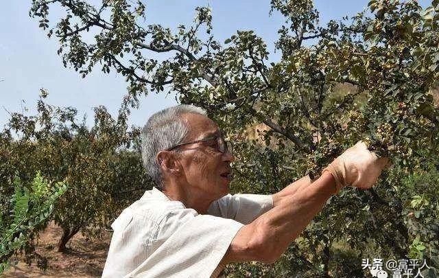 父亲的双手|那双干枯粗糙，伤痕累累的手