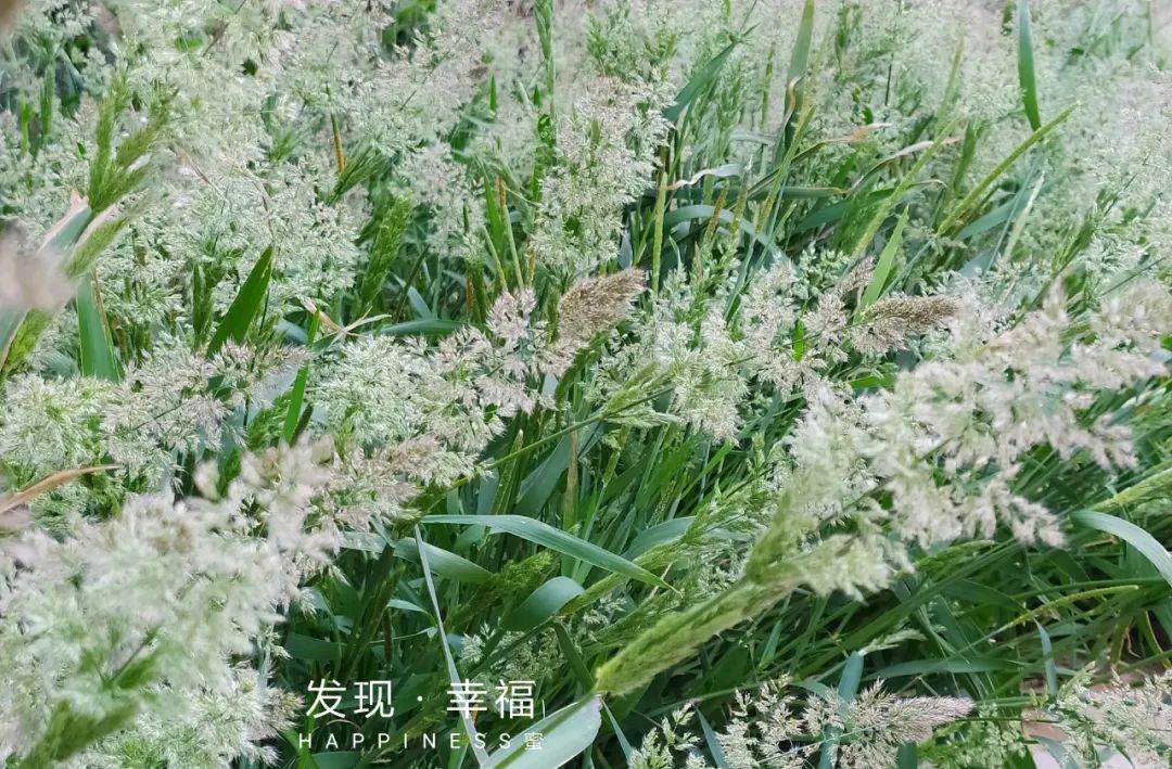 推荐关于成长三本书,少年成长书单