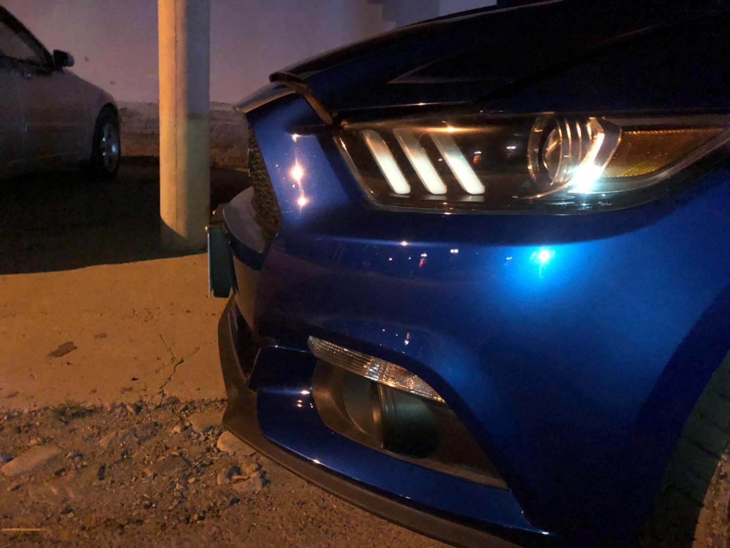 野马还是野驴,野马2.3t小野驴