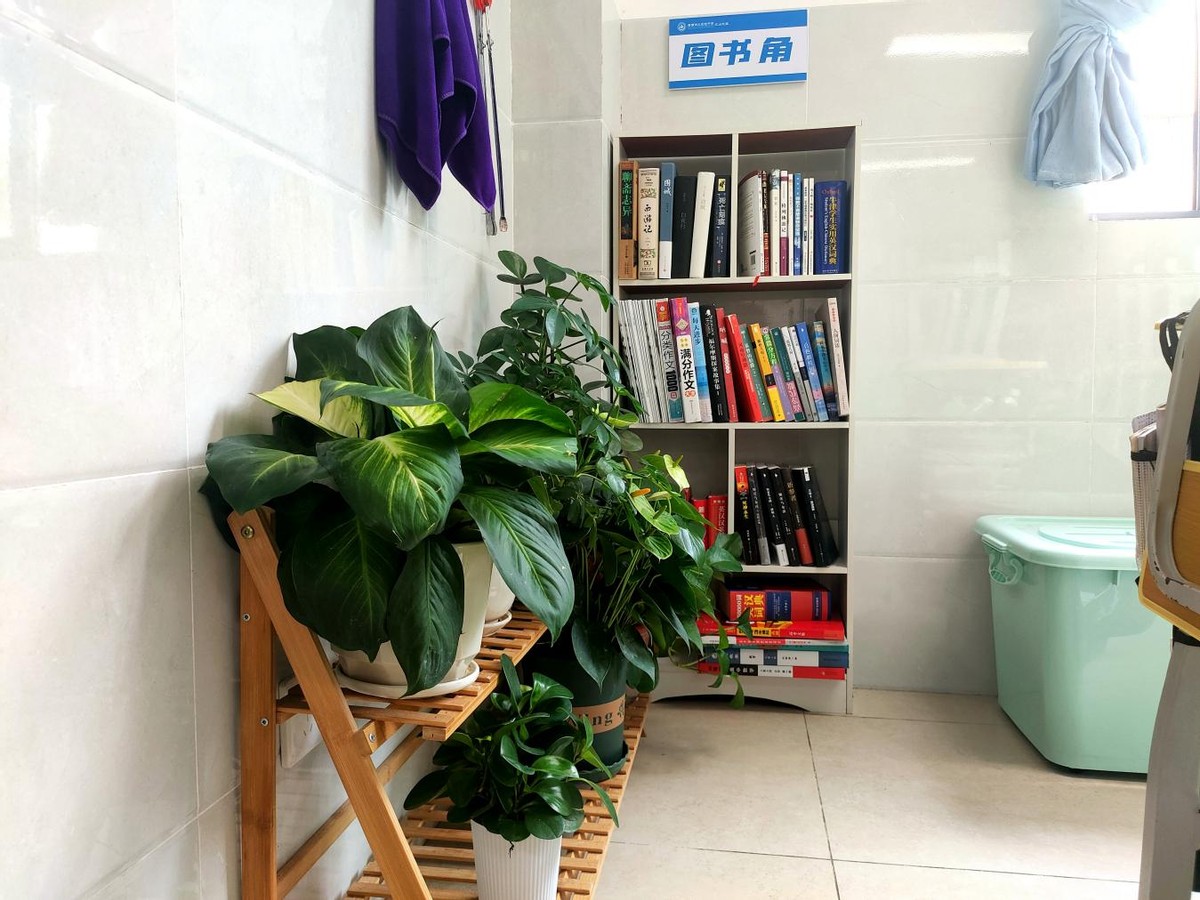 校园环境展示,校园读书墙壁文化布置