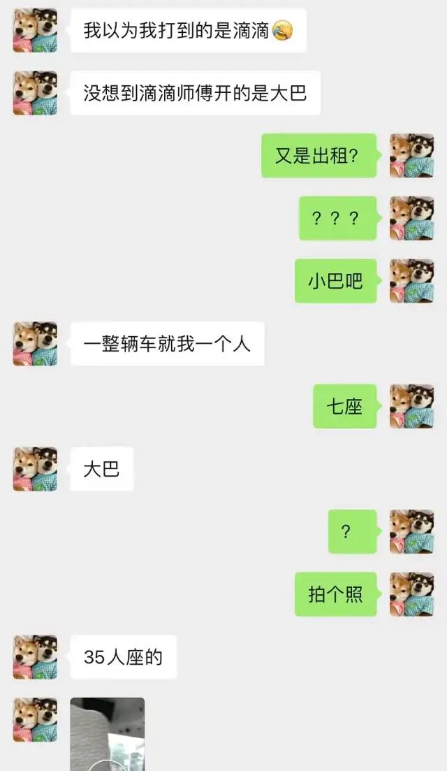 哈哈哈哈哈我笑到我家的狗偷开邻居家的车送我去精神病院